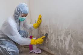 Best Forensic Mold Investigation  in Parkland, FL